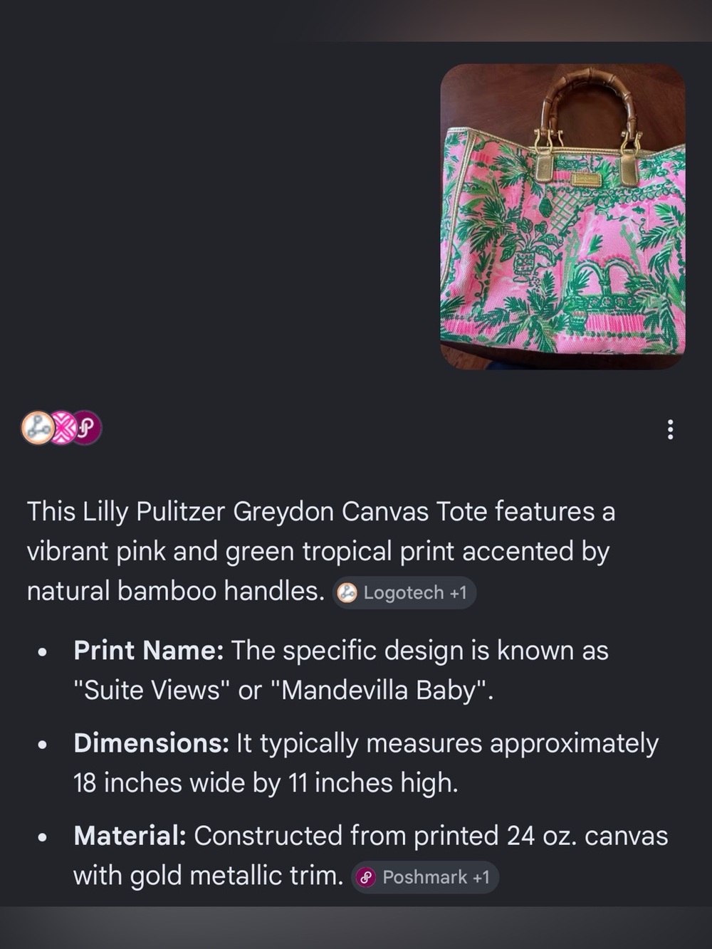Lilly Pulitzer Pink & Green Tropical Canvas Tote with Bamboo Handles - Picture 8 of 8
